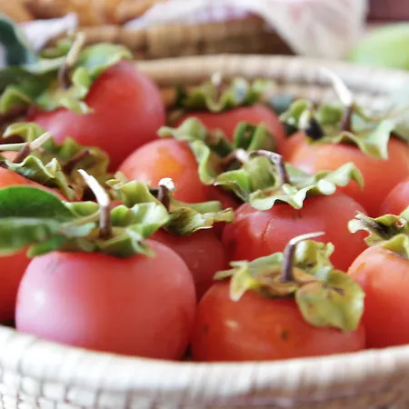 Séjour à la campagne Liolà *